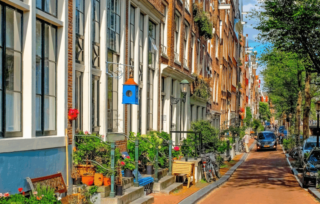 Bright and colourful residential street lined with tall brick buildings, potted plants, bicycles, and a blue birdhouse hanging beside one of the doorways.